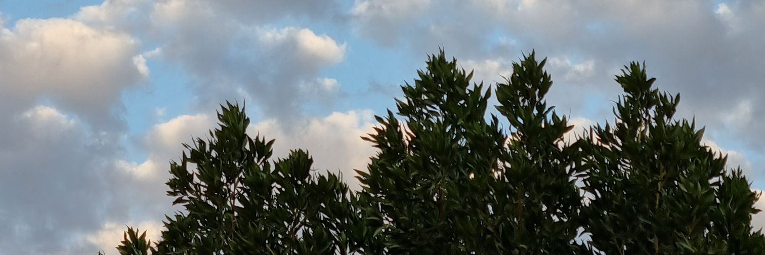monaazez1's profile banner image