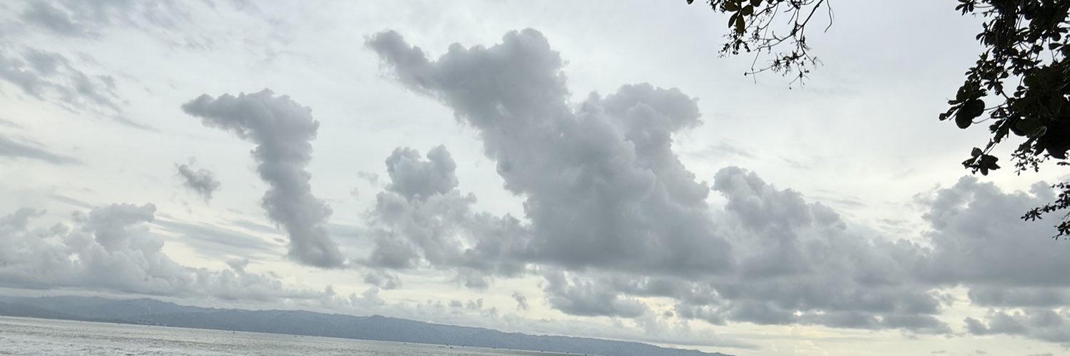 🍉 Gemini Baik banner