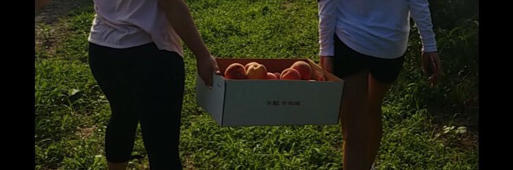 NutellaCs's profile banner image