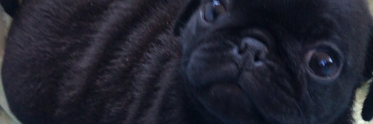 JavierLimoli's profile banner image