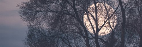 ClaudiaSpankMe's profile banner image
