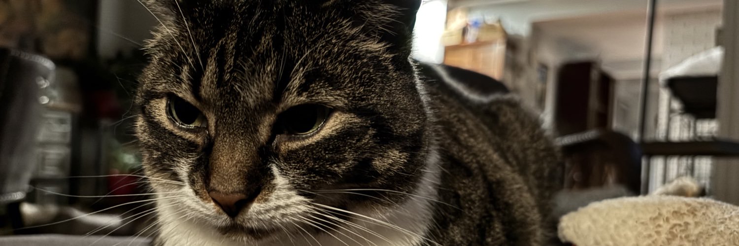 Sean Broderick banner