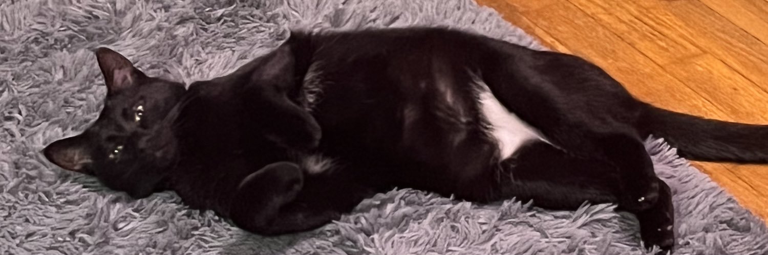 ashlyn_cat's profile banner image