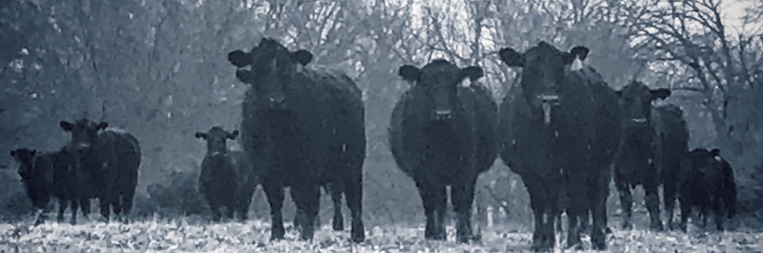 HarderNat's profile banner image