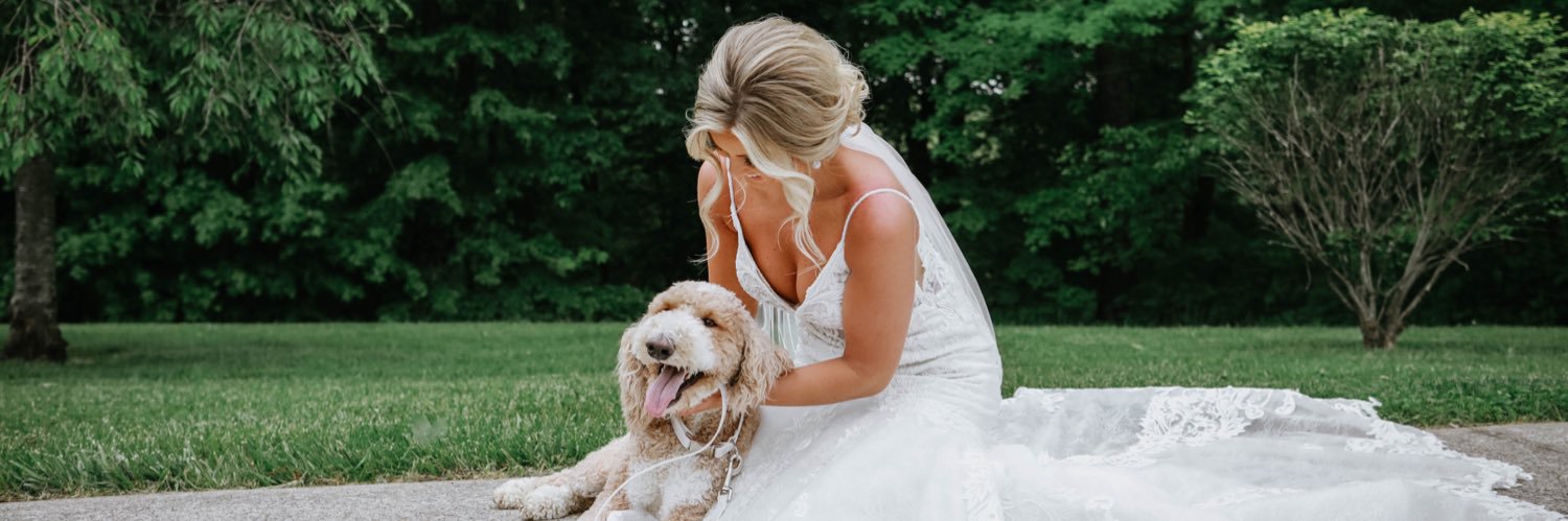 jamietolley's profile banner image