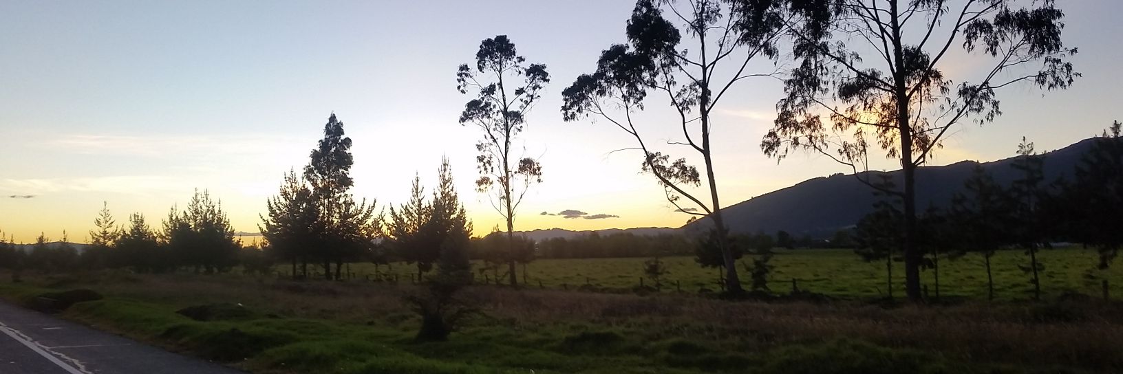 CamLopez24's profile banner image