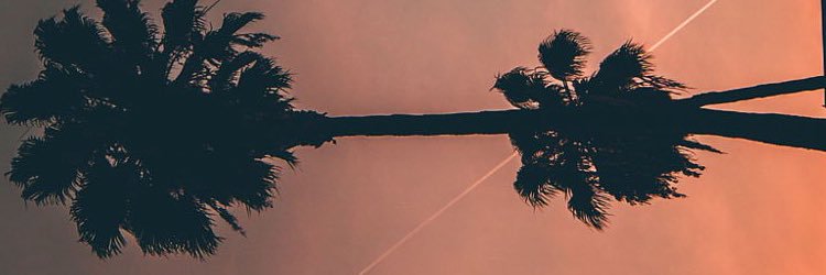 🌬🍁 banner