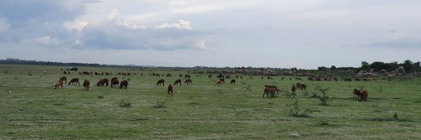 bhuvan_sagar Profile Banner