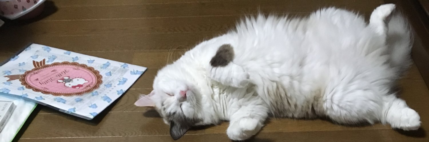 axtuxtuxtu's profile banner image