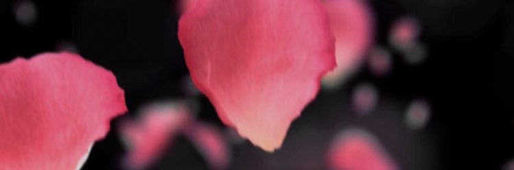 d5apgb1's profile banner image