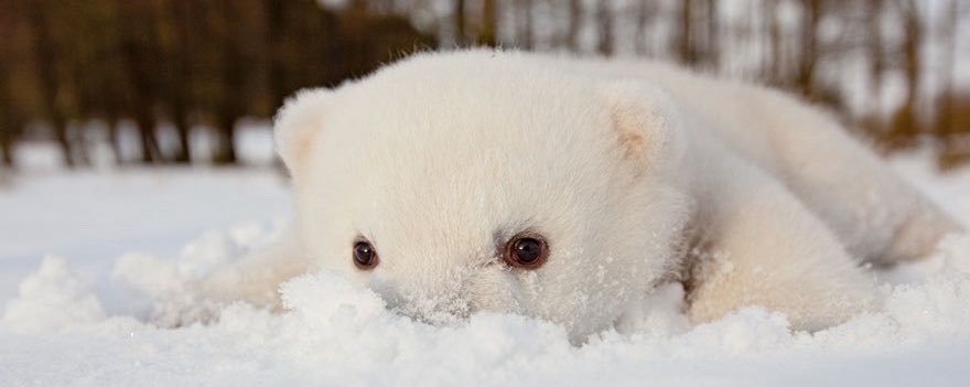 chriskent_4's profile banner image