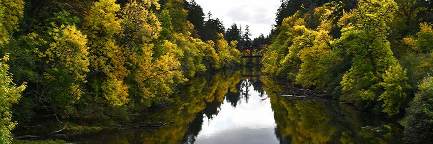 Clean Water Services banner
