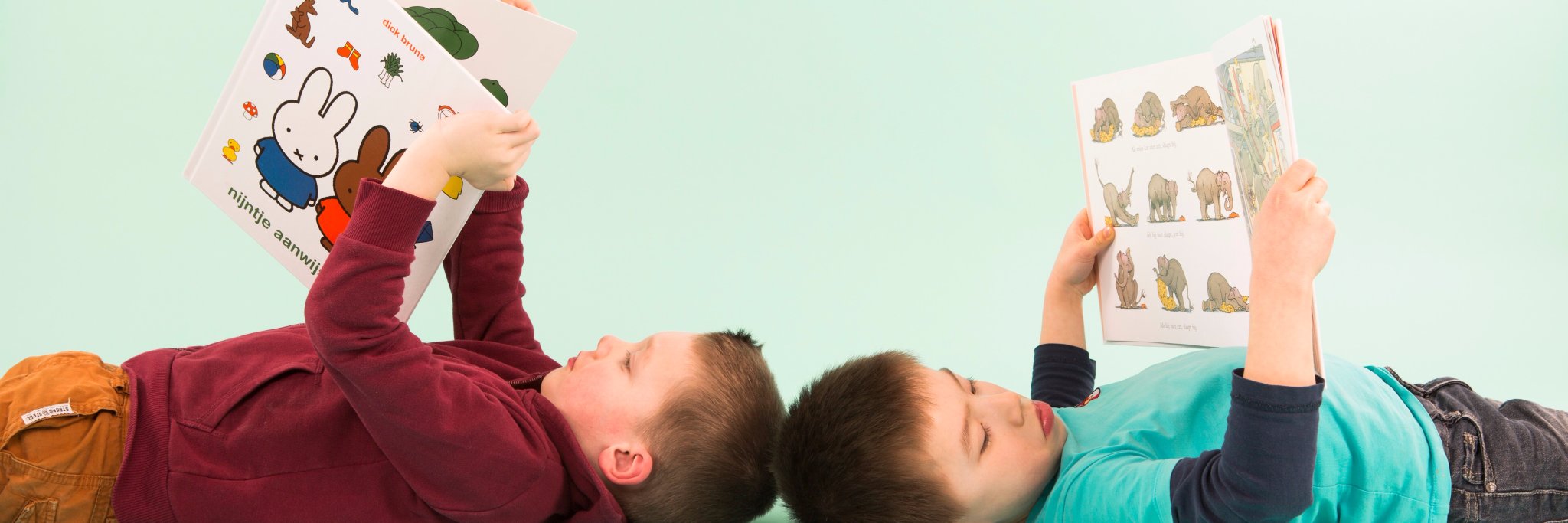 VoorleesExpress banner