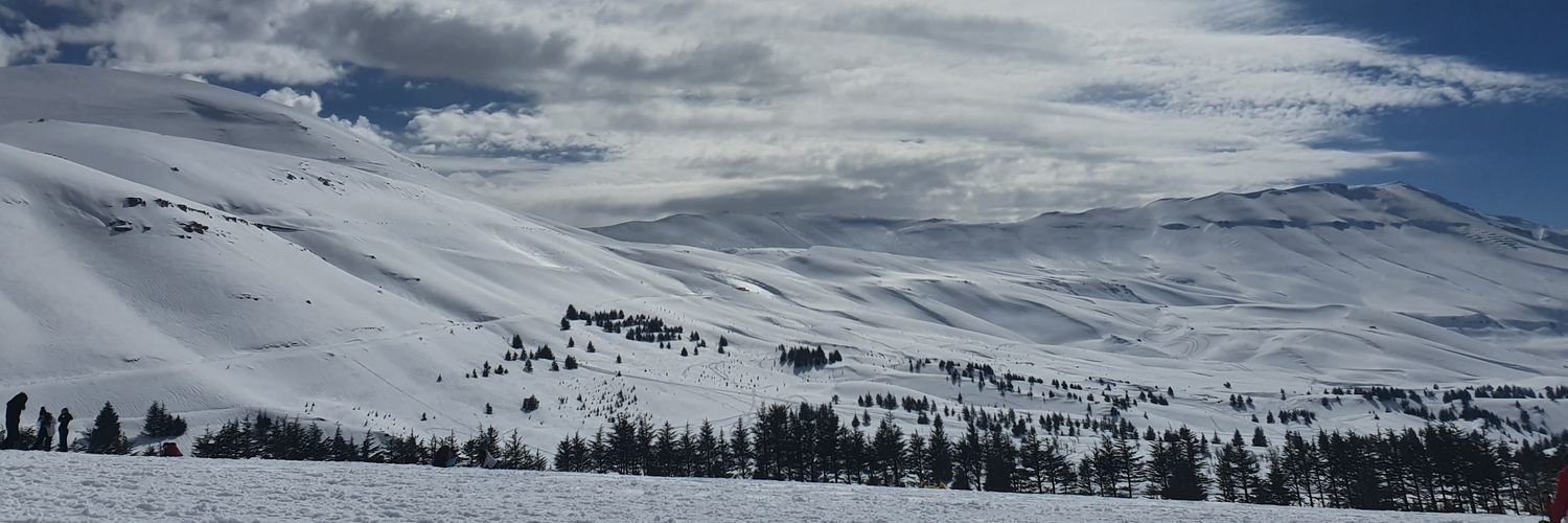 Solange Abou Nasr banner