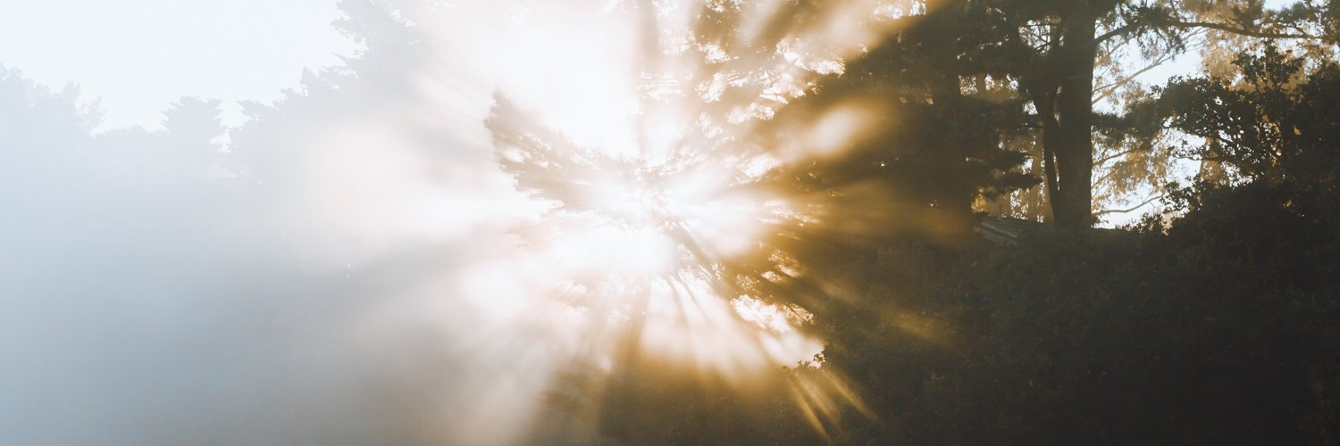 Nicholas Yee banner
