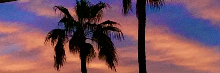 Analigax's profile banner image