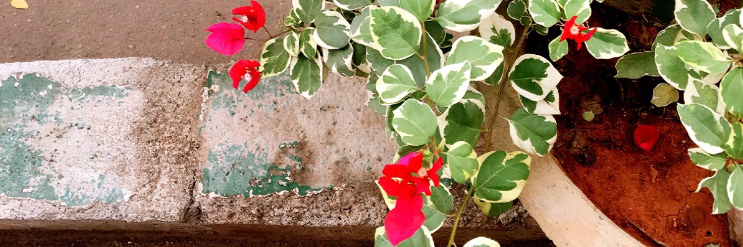 SujC's profile banner image
