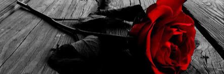 Pastullio67's profile banner image