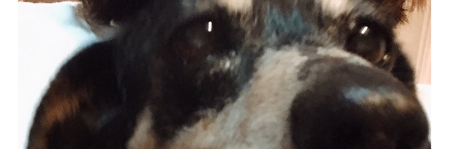 ToM1125's profile banner image