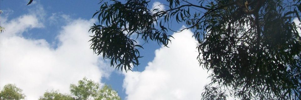 markcaril13's profile banner image