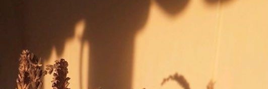 ngskena's profile banner image
