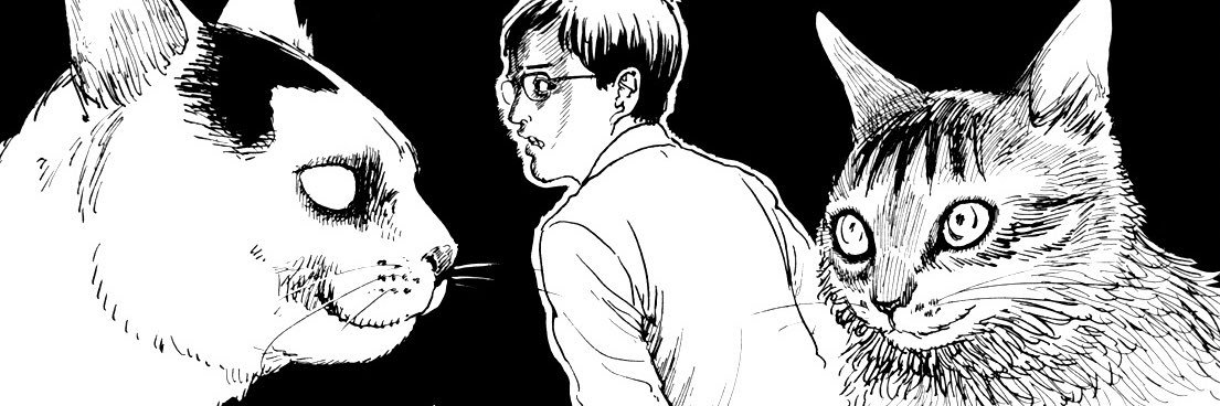 frankiefawn's profile banner image
