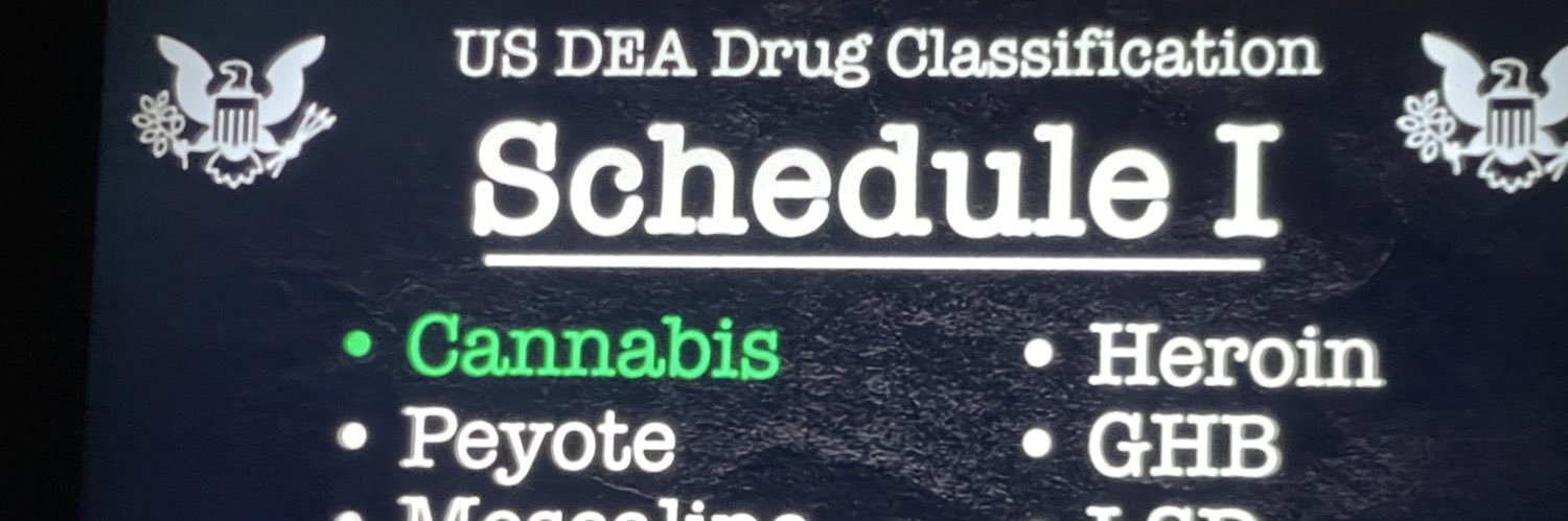 Cognitive Dissonance banner