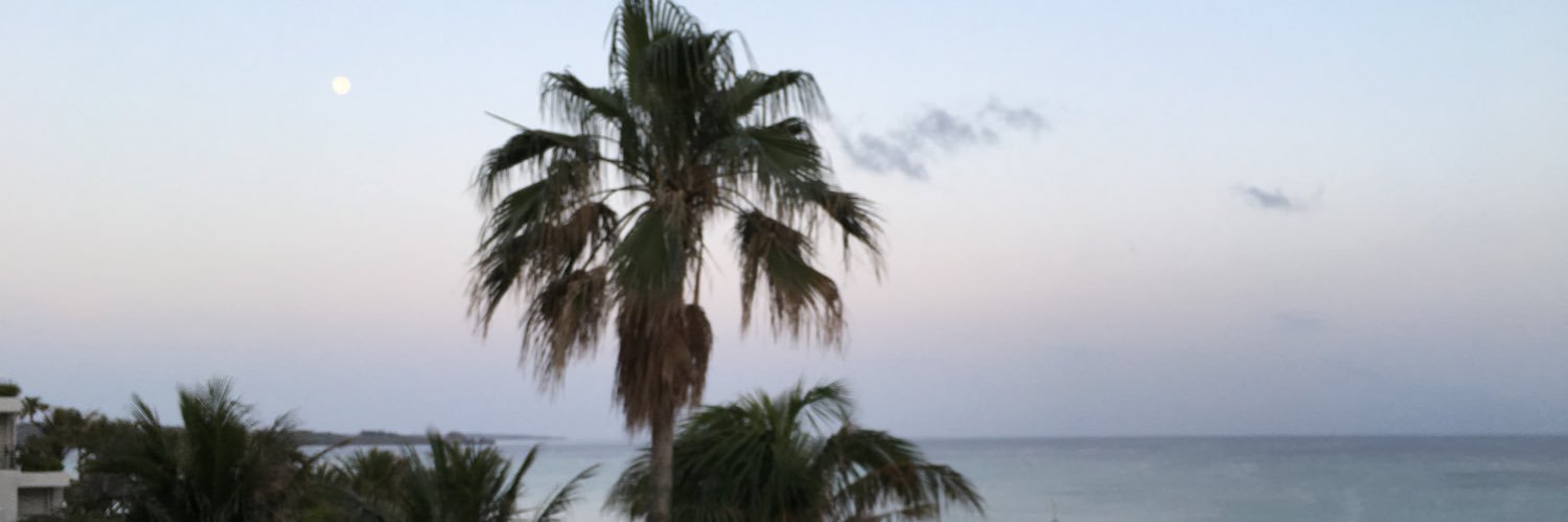 82Aina's profile banner image