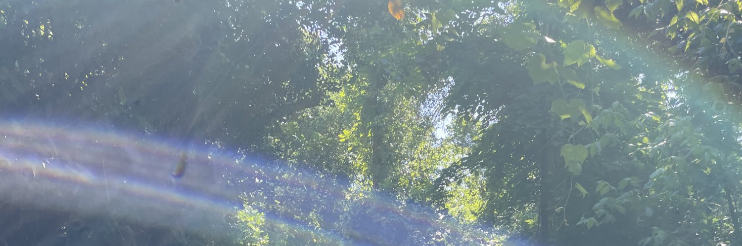 kroddy03's profile banner image
