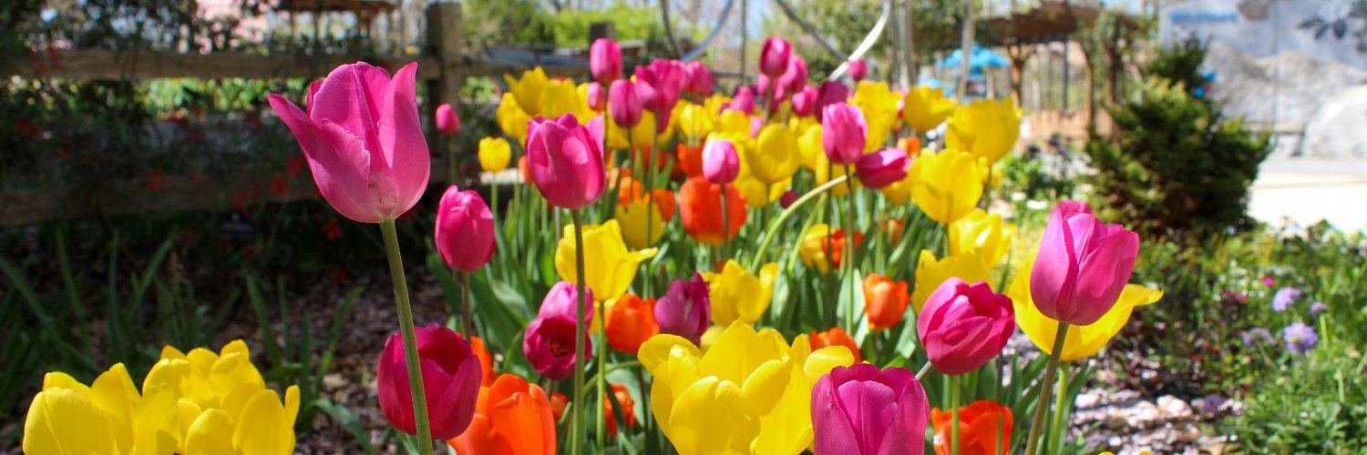 UGA Botanical Garden banner