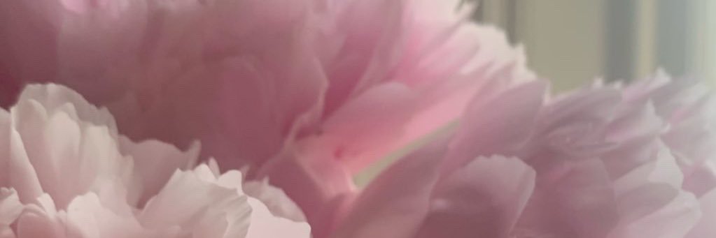 lorrrlane's profile banner image