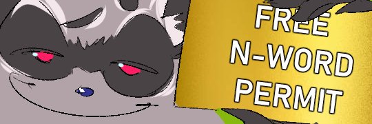 Mapache_bingus's profile banner image
