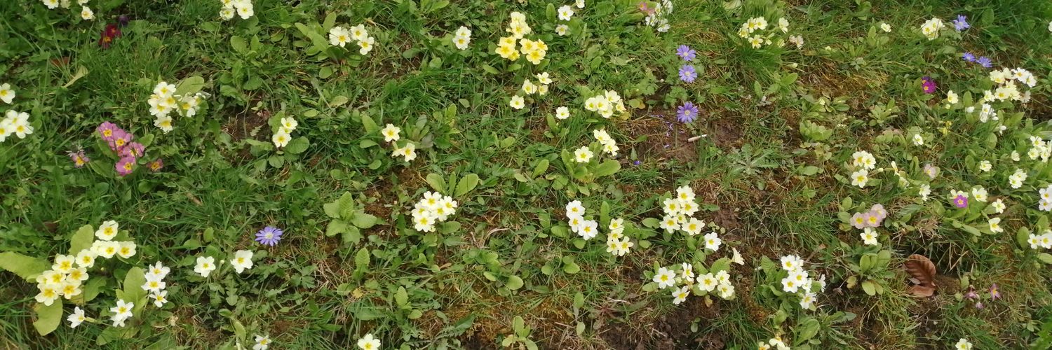 debbiewebb9's profile banner image