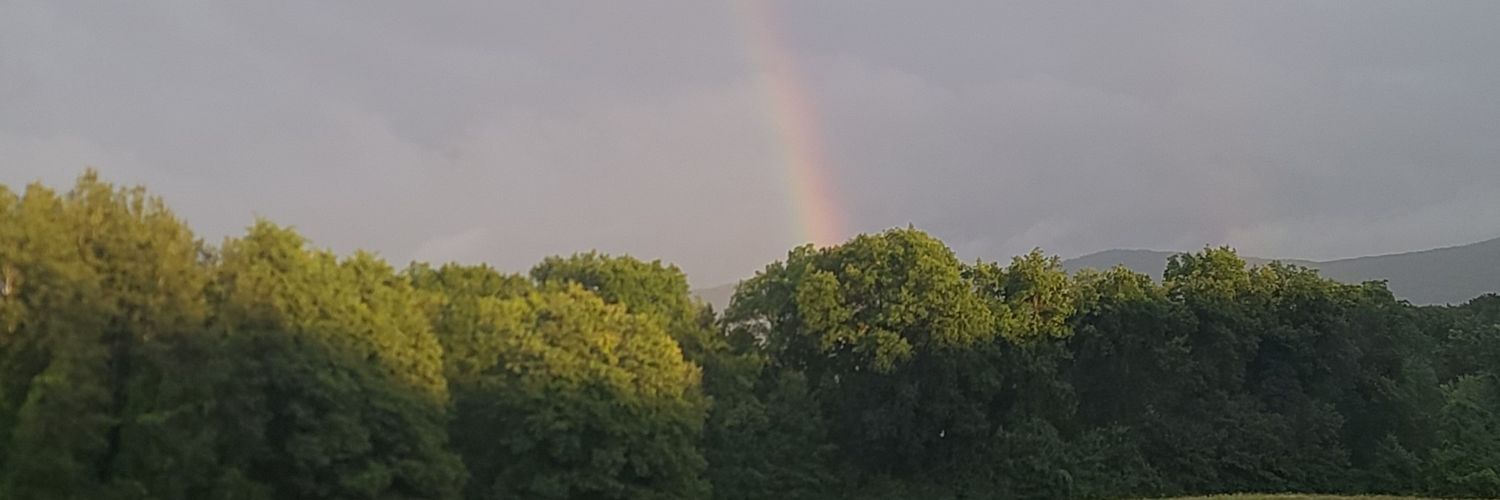 Stoudenmiree's profile banner image