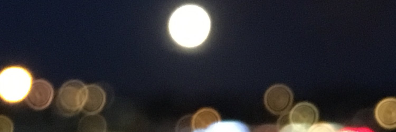 Rayray_gunK's profile banner image