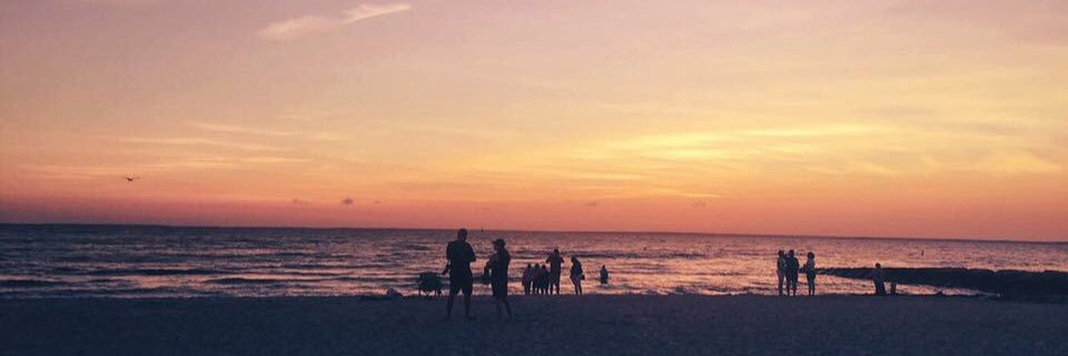 clare_corrigan's profile banner image