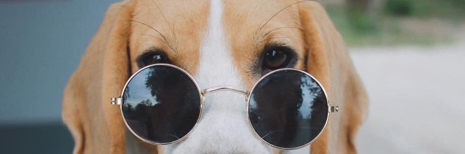Poly_park's profile banner image