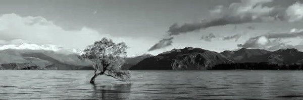 ZeroNotHero Profile Banner