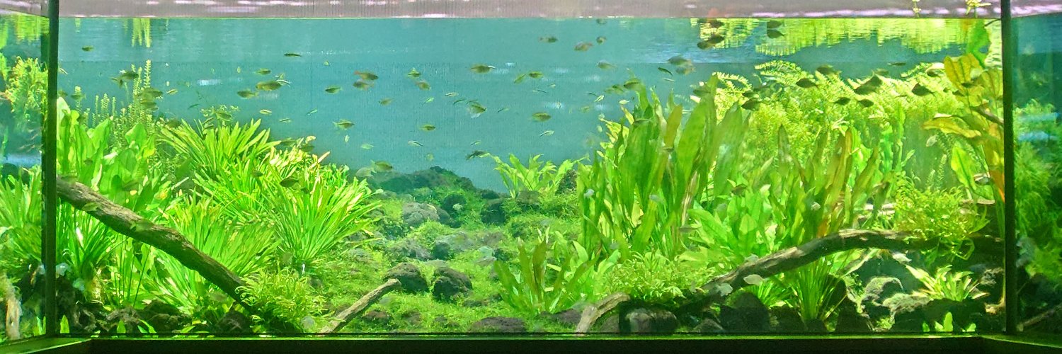 kukilees's profile banner image