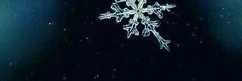 nayazen's profile banner image