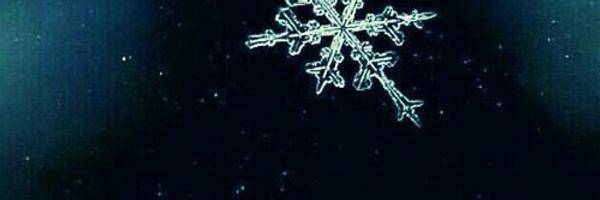 nayazen Profile Banner