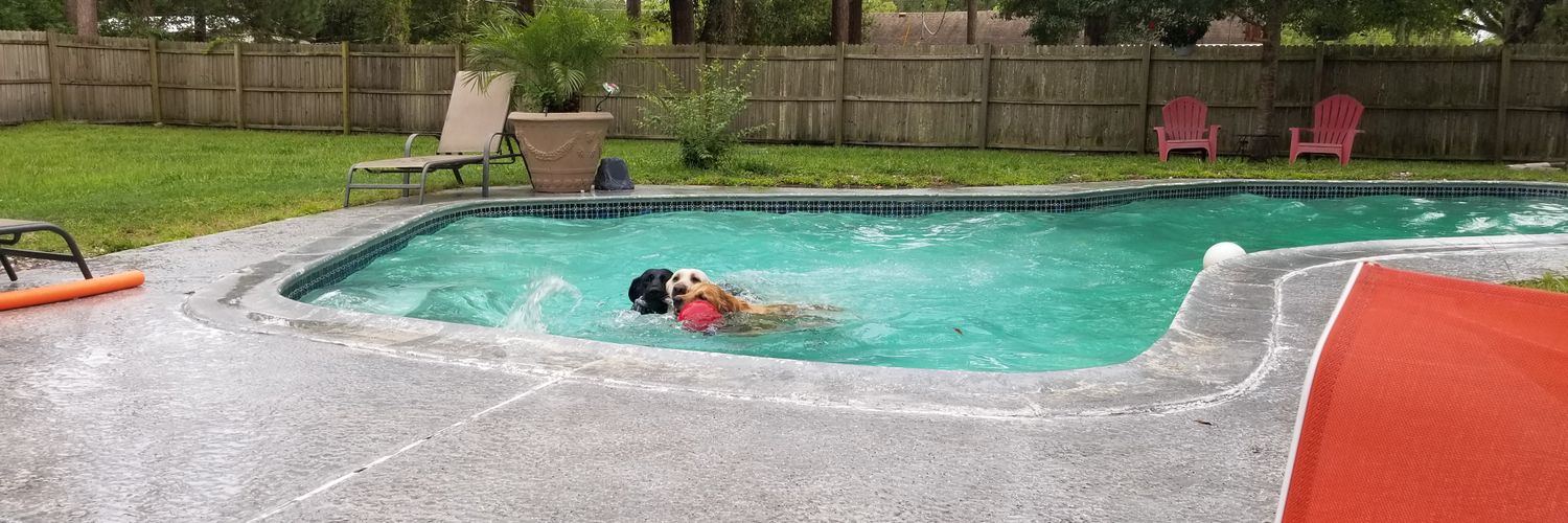 dana fernandez banner