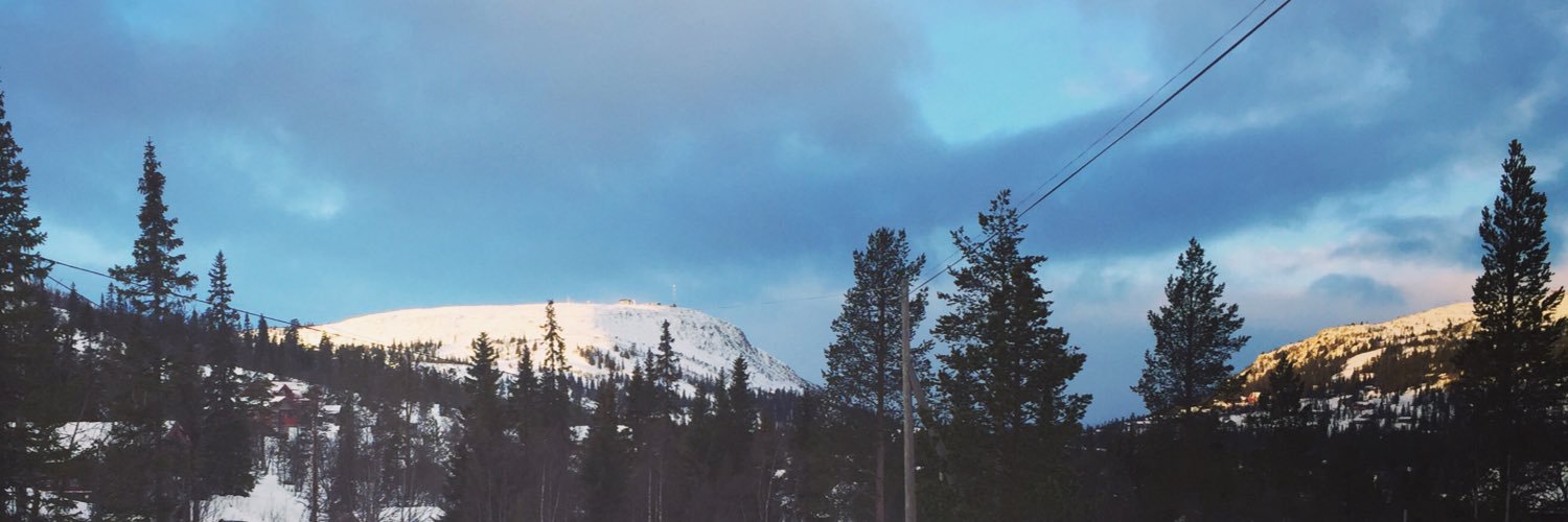 Steens_Tweets's profile banner image