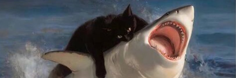 ireessss's profile banner image