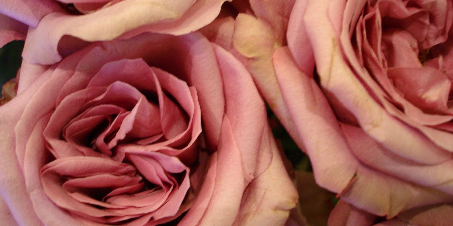 FpsforStore's profile banner image