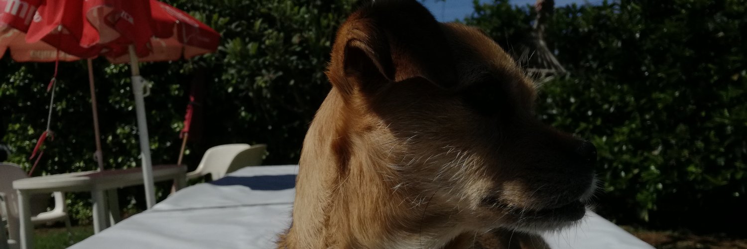 Dan_energy's profile banner image