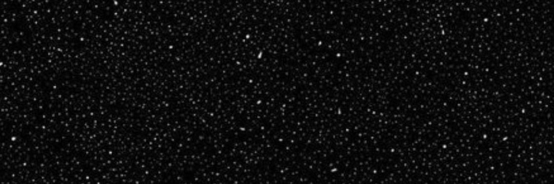 shad4635's profile banner image