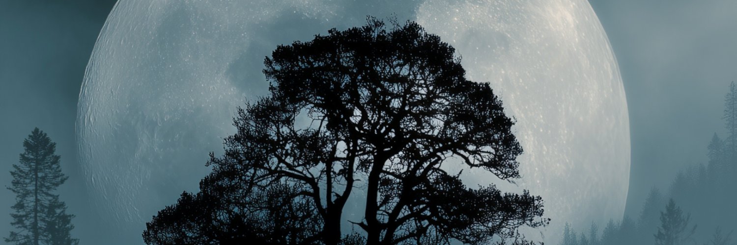 tinogarcy's profile banner image