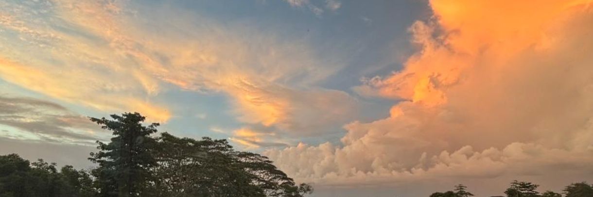 【=◈︿◈=】 banner