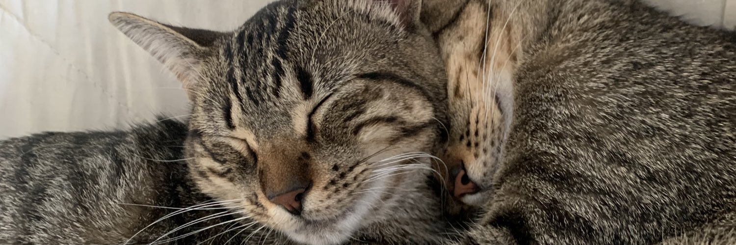 oli21uy's profile banner image